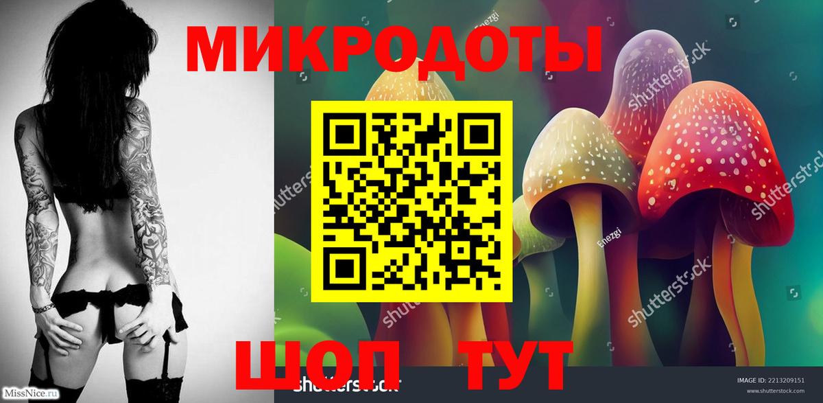 Псилоцибиновые грибы Psilocybe Горно-Алтайск