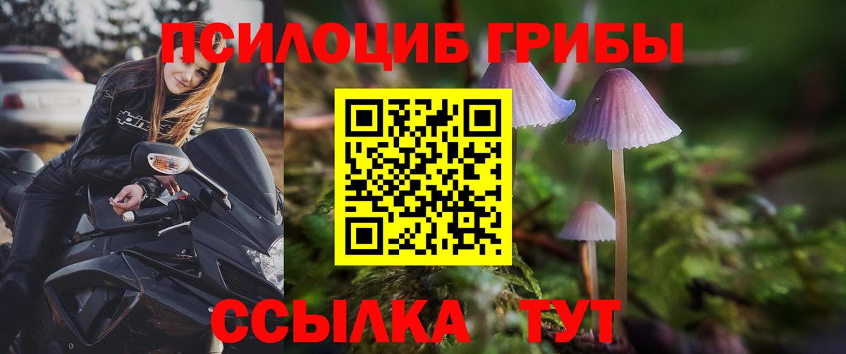 Галлюциногенные грибы прущие грибы  Вход с VPN  Горно-Алтайск 